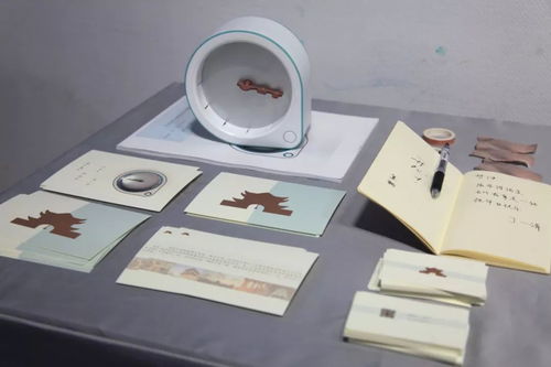 創(chuàng)意綻放，設(shè)計(jì)未來(lái)——北京工業(yè)大學(xué)藝術(shù)設(shè)計(jì)學(xué)院2019屆本科生優(yōu)秀畢業(yè)設(shè)計(jì)作品展 化妝品篇